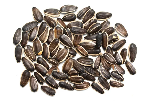 Gray Sunflower Seeds Isolated White Background — Stock Photo, Image