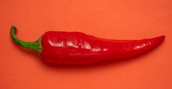 Red Hot Chili Pepper Isolated — Stock Photo, Image