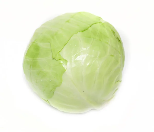 Cabbage Isolated White Background — Stock Photo, Image