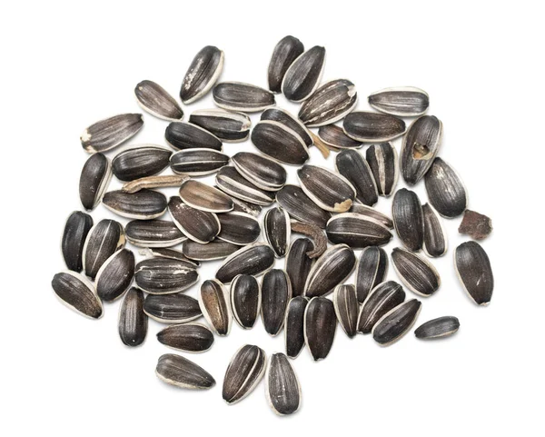 Gray Sunflower Seeds Isolated White Background — Stock Photo, Image