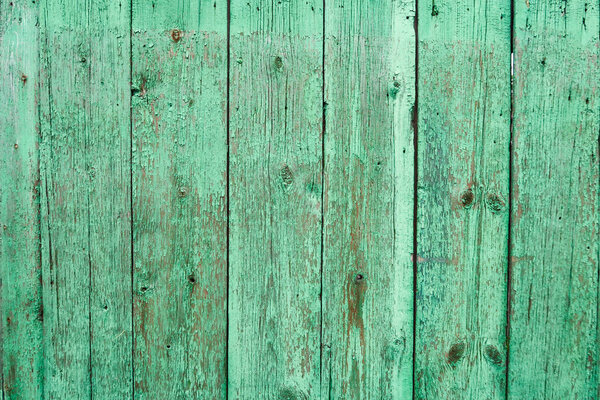 old wooden fence background green paint