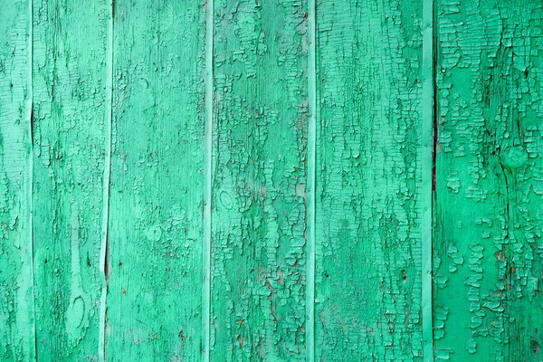 old wooden fence background green paint