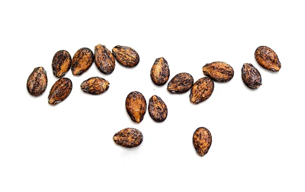 Semena Melounu Bílém Pozadí Samostatný — Stock fotografie