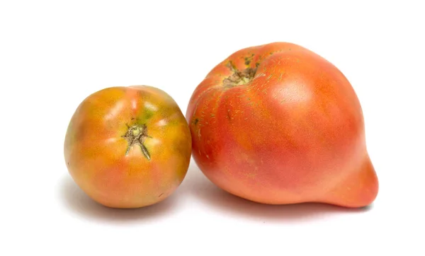 在白色背景查出的新鲜成熟的西红柿的特写镜头看法 — 图库照片