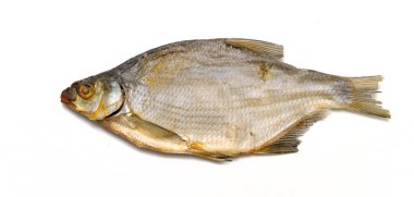 Çipura balık beyaz zemin üzerine kurutulmuş