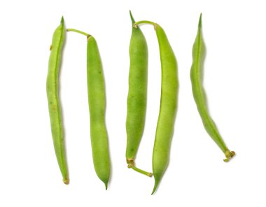 Beyaz arkaplanda yeşil fasulye