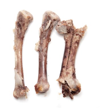 Beyaz bir arka plan üzerinde kemik tavuk