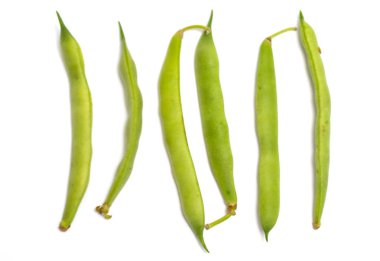 Beyaz arkaplanda yeşil fasulye