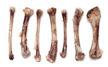 Beyaz bir arka plan üzerinde kemik tavuk