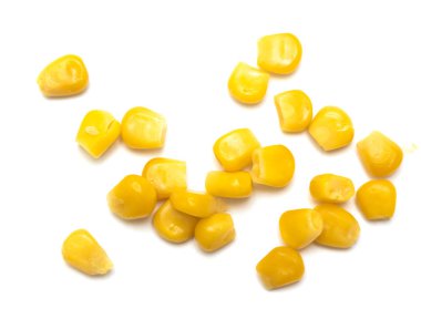 Beyaz arkaplanda izole mısır tohumları