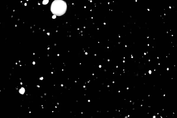 黒雪ボケ背景に白ドット — ストック写真