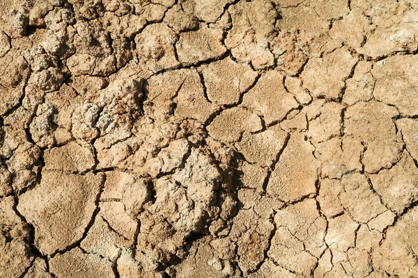 Clay Aarde Spleten Van Droogte — Stockfoto