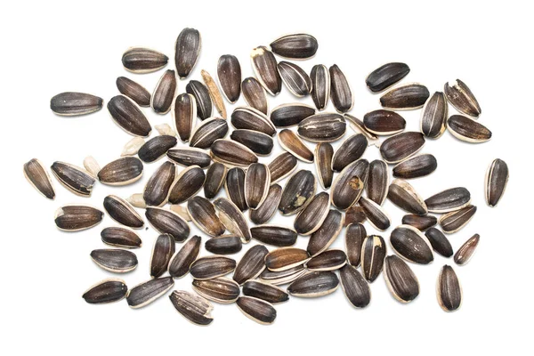 Gray Sunflower Seeds Isolated White Background — Stock Photo, Image