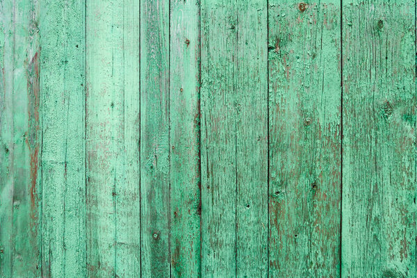 old wooden fence background green paint