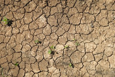 kuraklık çatlaklar kil toprak