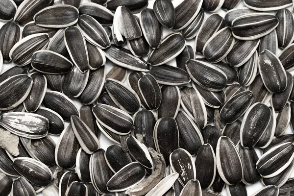 Gray Sunflower Seeds Isolated White Background — Stock Photo, Image