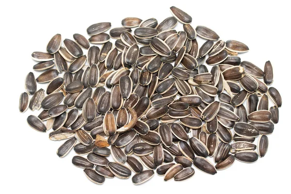 Gray Sunflower Seeds Isolated White Background — Stock Photo, Image