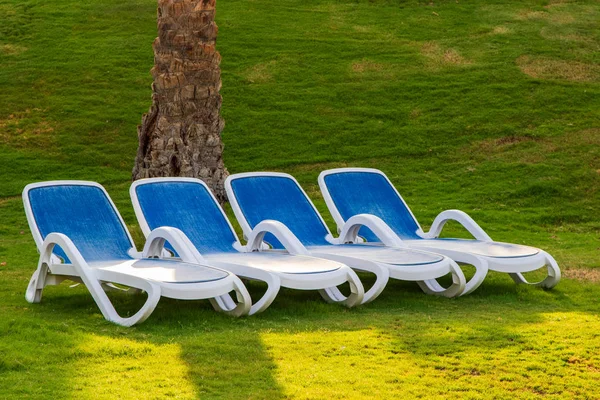 サンベッドの観光客を待っている緑の草の上 熱帯の海岸の高級リゾート ホテルを表示します — ストック写真