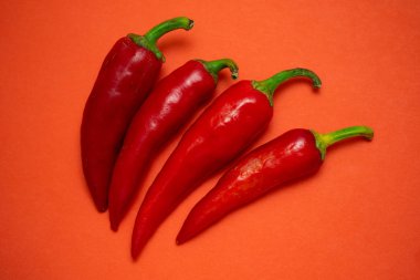 İzole kırmızı sıcak biber biber