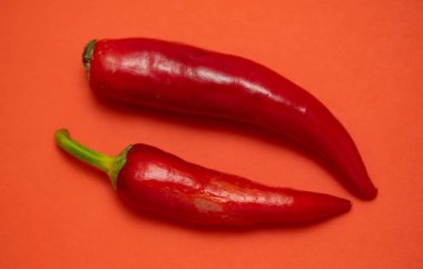 İzole kırmızı sıcak biber biber