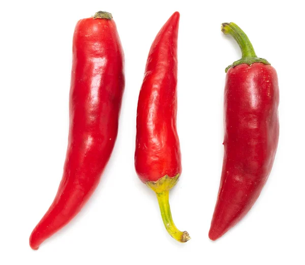 Roter Paprika Isoliert Auf Weißem Hintergrund — Stockfoto