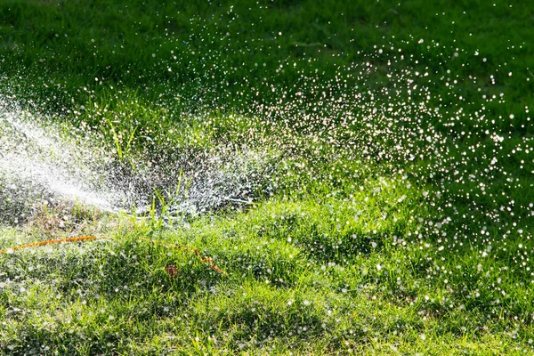 灌溉系统浇灌绿草与 Bokeh — 图库照片