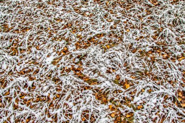 Sonbahar, karda çimen bırakır.