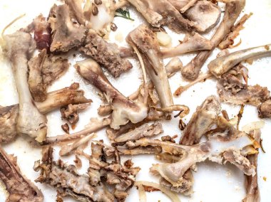 tavuk kemikleri yiyecek yığını