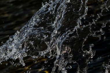 bir karanlık bokeh arka plan üstünde su damlaları