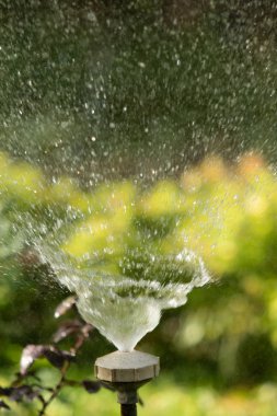 defocused, bulanık su, bokeh doğa damla