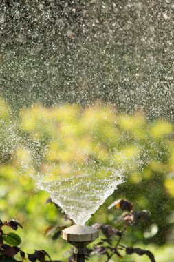 defocused, bulanık su, bokeh doğa damla