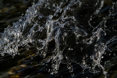 bir karanlık bokeh arka plan üstünde su damlaları