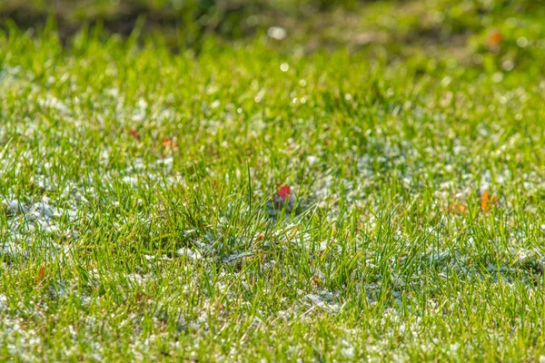 Grönt Gräs Snö Suddiga Bakgrundsbokeh — Stockfoto