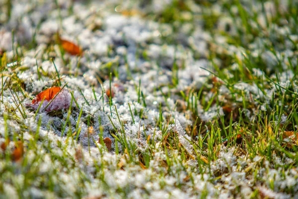 Yeşil Çim Kar Arka Plan Bokeh Bulanık — Stok fotoğraf