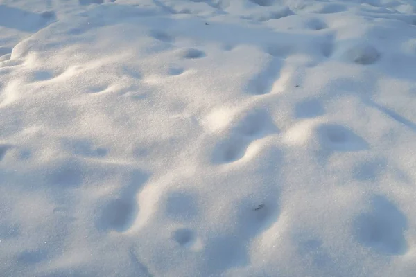 Neve Terra Fundo Inverno — Fotografia de Stock