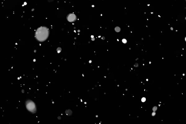 Textura Tormenta Nieve Luces Bokeh Sobre Fondo Negro Plano Copos — Foto de Stock