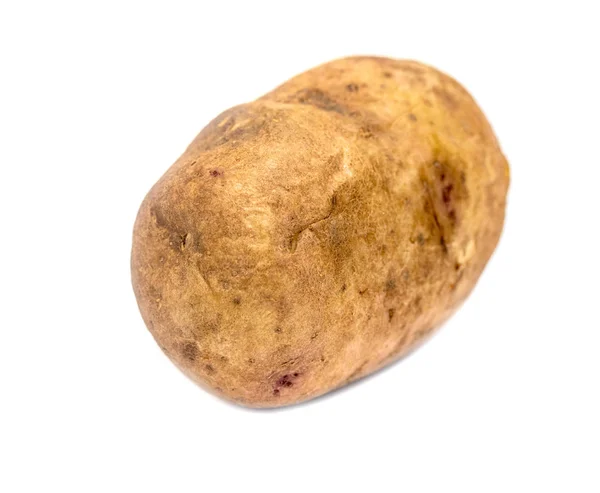 Aardappel Knol Witte Achtergrond — Stockfoto