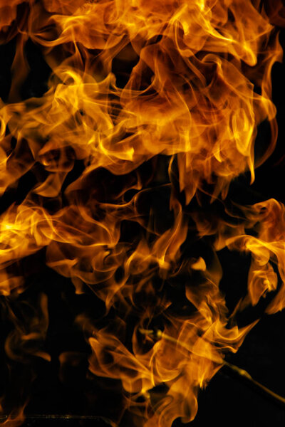 Fire flames on a black background