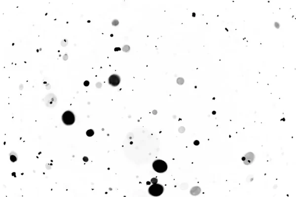 Black Bokeh White Background Blurry — Stock Photo, Image