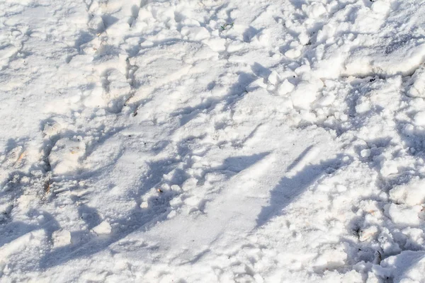 Vit Snö Vinter Bakgrund — Stockfoto