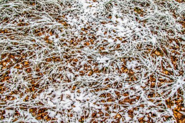 Sonbahar, karda çimen bırakır.