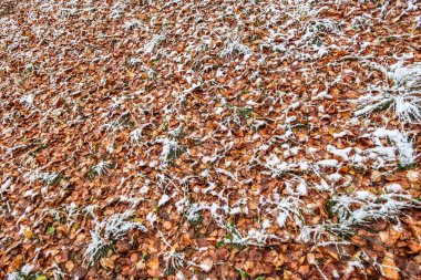 Sonbahar, karda çimen bırakır.