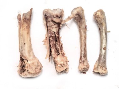 tavuk kemikleri yiyecek yığını