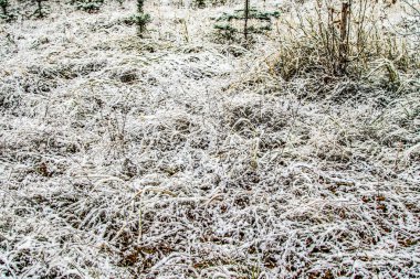 Sonbahar, karda çimen bırakır.