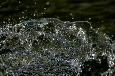 bir karanlık bokeh arka plan üstünde su damlaları