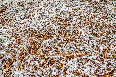 Sonbahar, karda çimen bırakır.