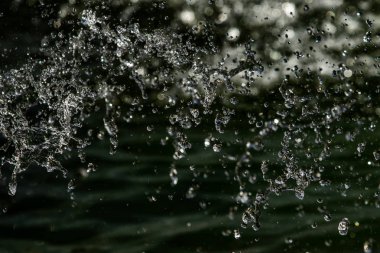 bir karanlık bokeh arka plan üstünde su damlaları