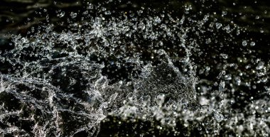 bir karanlık bokeh arka plan üstünde su damlaları