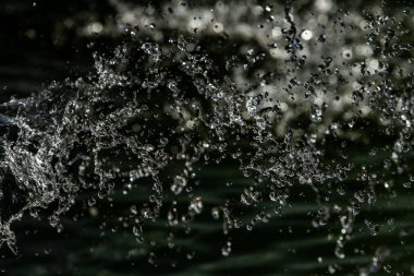 bir karanlık bokeh arka plan üstünde su damlaları