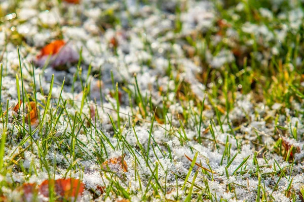 Grama Verde Neve Desfocada Fundo Bokeh — Fotografia de Stock